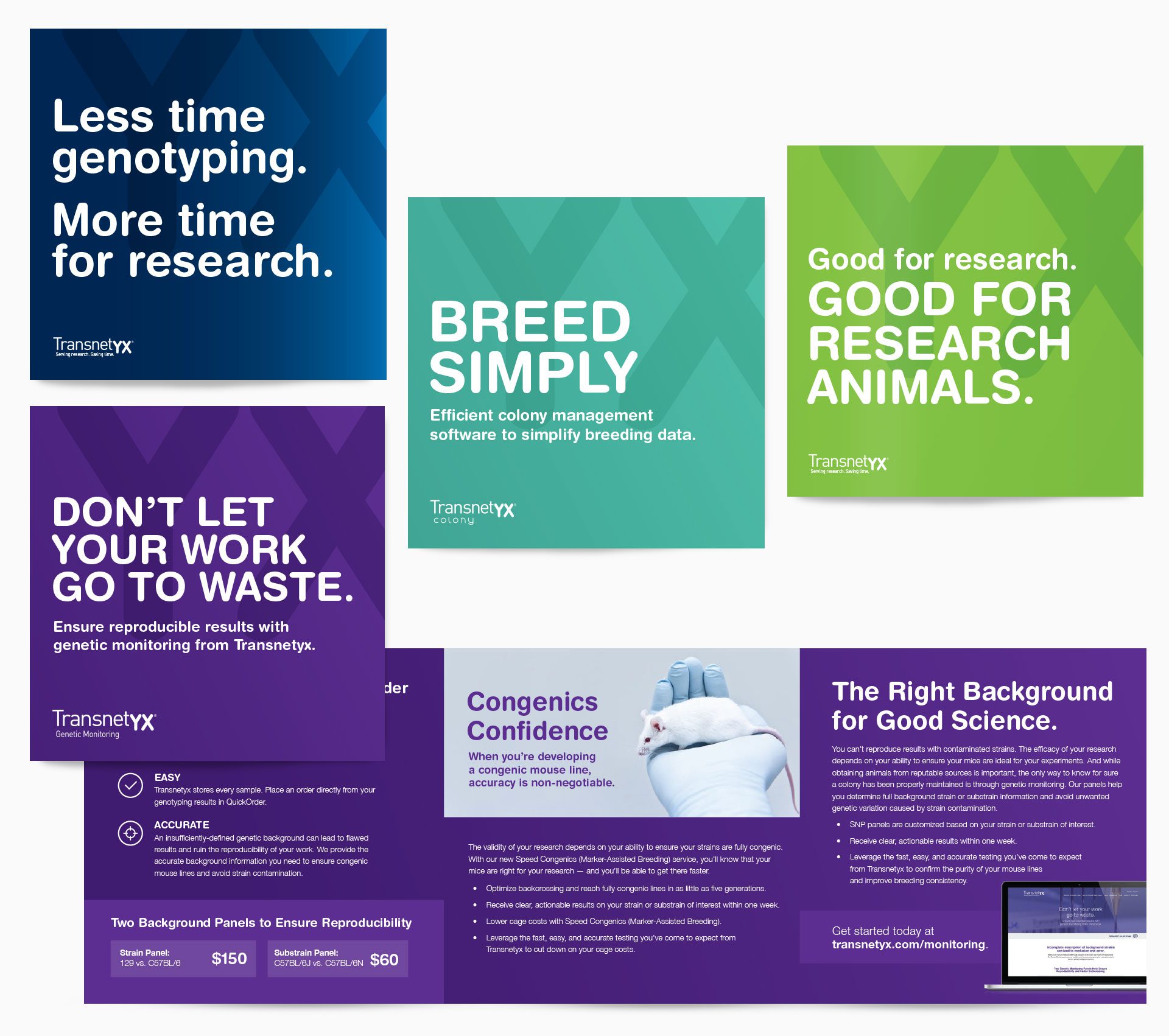 Service Line Brochures for Transnetyx (Research)